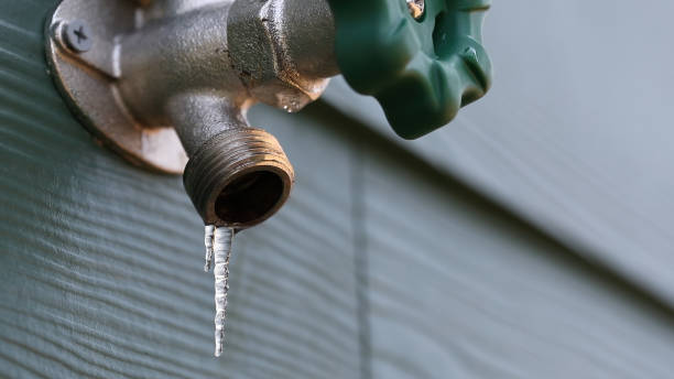 Best Drain Cleaning Services  in Boardman, OR